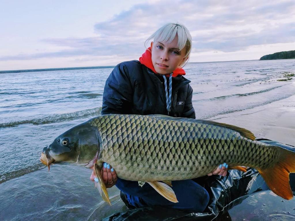 Обское море рыбалка. Спирино сазан. Рыбы Обского водохранилища. Новосибирское водохранилище рыба.